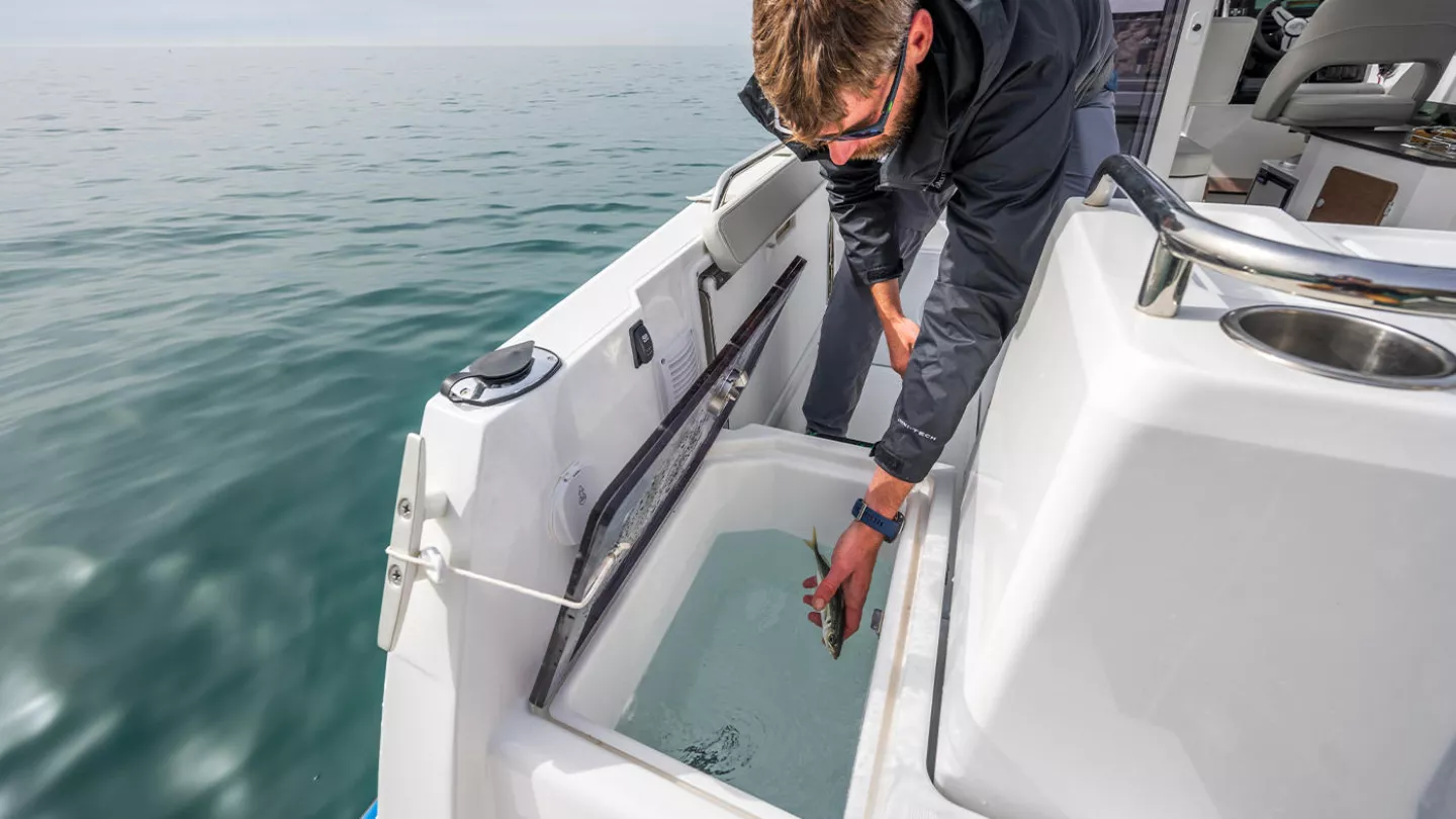 Beneteau Antares 8 Fishing