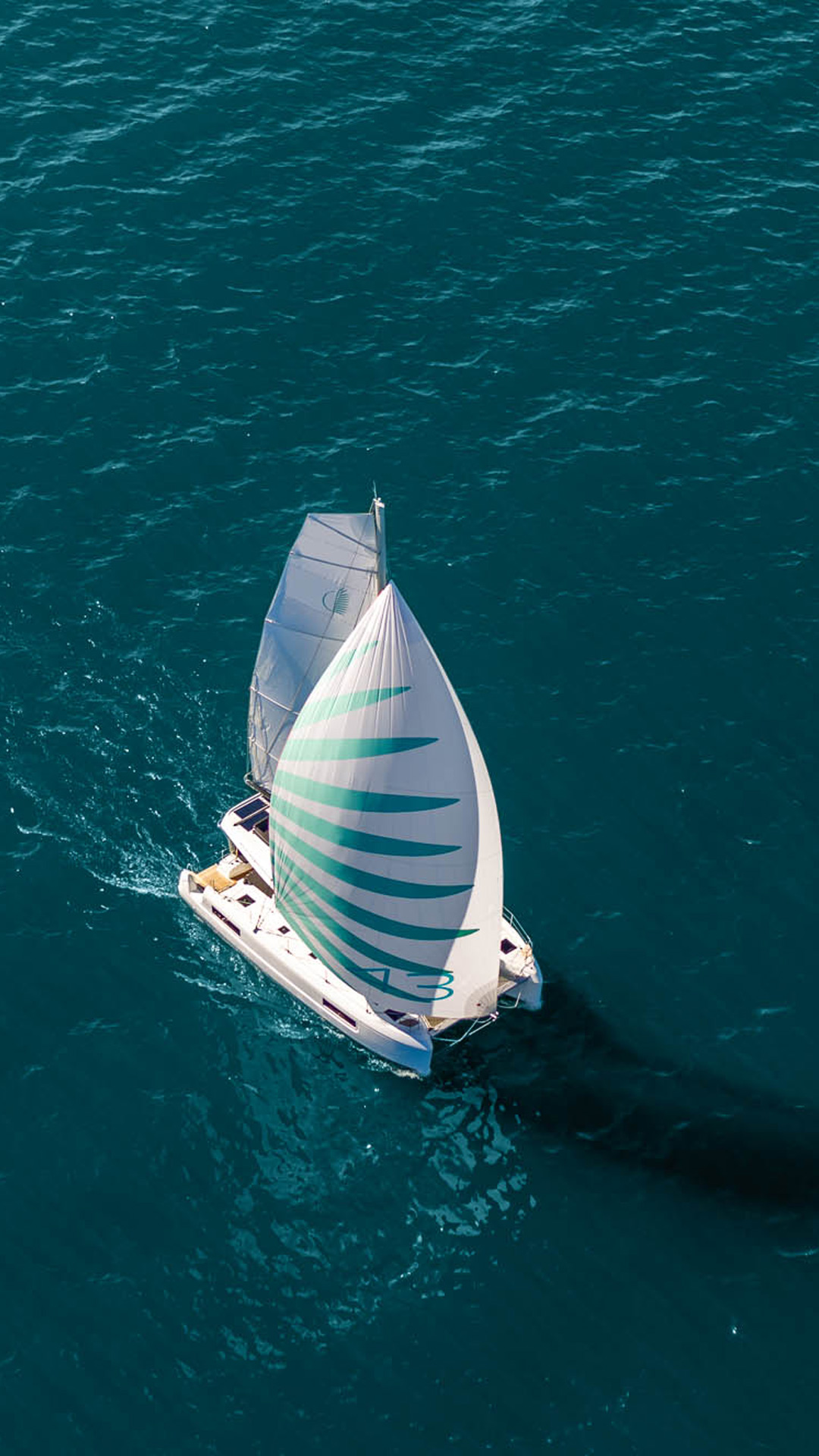 Lagoon 43, catamaran met spinnaker zeilend zee