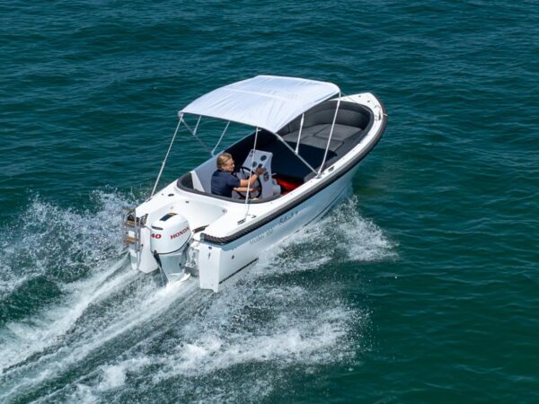 Maxima 550