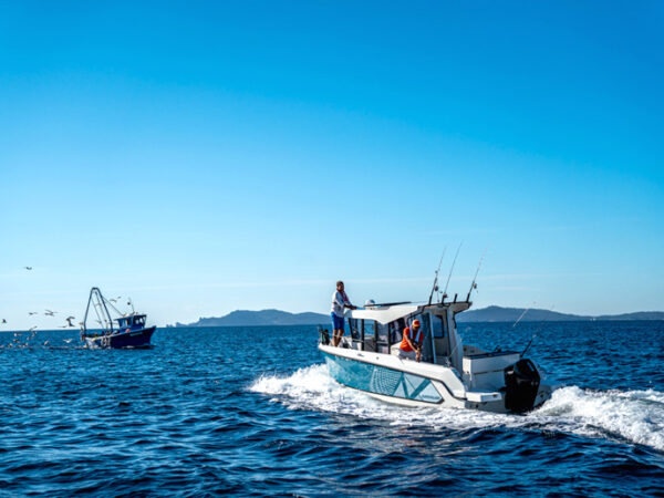 Quicksilver 805 Pilothouse, boot varend op zee met vissersboot